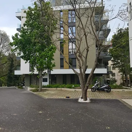 райзен Sf. Constantin și Elena