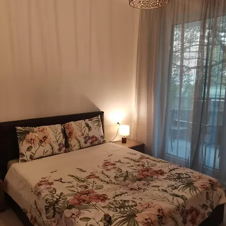 Lejlighed райзен *